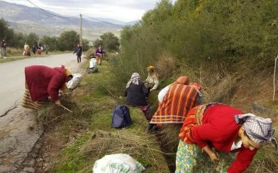 Ait Bouadda dans la commune d&rsquo;Azazga , le Grand volontariat !