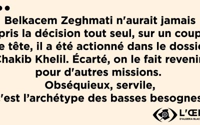 Pourquoi Tebboune a-t-il maintenu Zeghmati ?