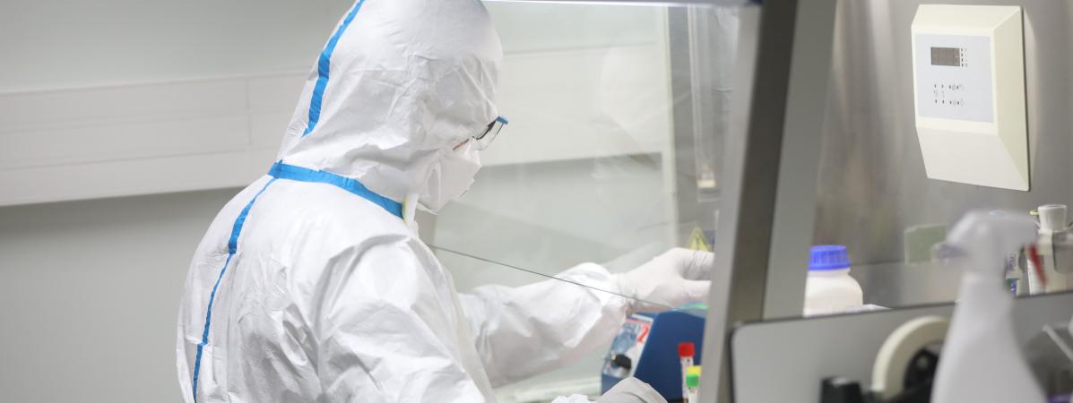 « Probablement le traitement le plus simple pour traiter le coronavirus » : les spécialistes s’enthousiasment pour la chloroquine, déjà utilisée contre le paludisme