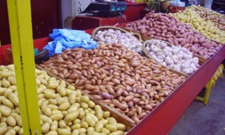 Mise sur le marché de 1.400 tonnes de pomme de terre au prix de 40 DA