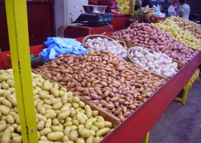 Mise sur le marché de 1.400 tonnes de pomme de terre au prix de 40 DA