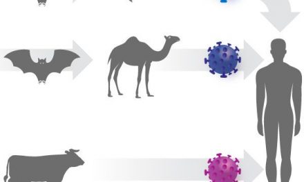 Pas de panique, d’ici avril, plus personne ne parlera de coronavirus !