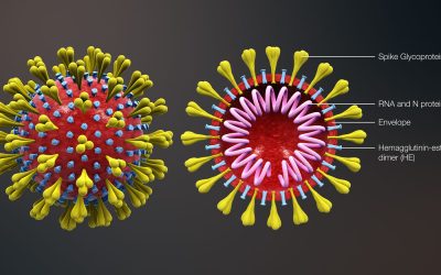Méditation sur l’utilité du coronavirus