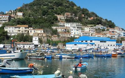 Skikda : Les ports de pêche de Collo, Stora et La Marsa paralysés
