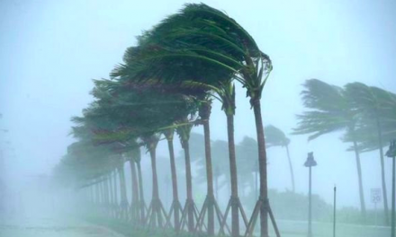 Des vents forts souffleront, parfois en rafales, sur plusieurs wilayas du Nord du pays à partir de mardi soir, indique l’Office national de la météorologie dans un bulletin météorologique spécial (BMS)