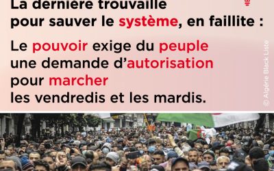 La dernière trouvaille