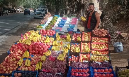 Rabah Amani, cet exceptionnel marchand de fruits et légumes qui nous garantie la variété, la fraicheur et une qualité incomparable